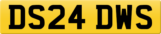 DS24DWS