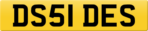 DS51DES