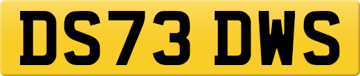 DS73DWS