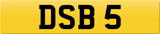 DSB5