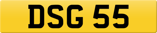 DSG55