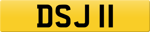 DSJ11