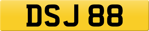 DSJ88
