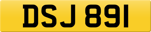 DSJ891