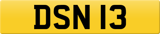 DSN13