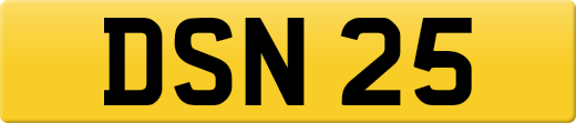 DSN25