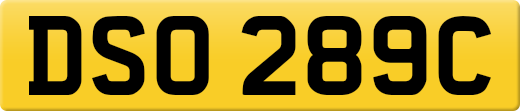 DSO289C
