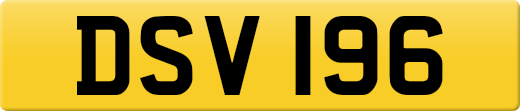 DSV196
