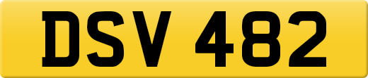 DSV482