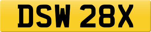 DSW28X