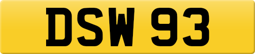 DSW93