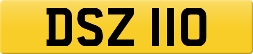 DSZ110