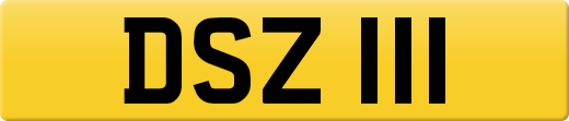 DSZ111