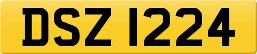 DSZ1224