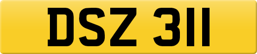 DSZ311