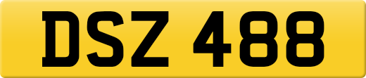 DSZ488