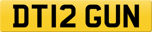 DT12GUN