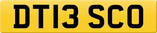 DT13SCO