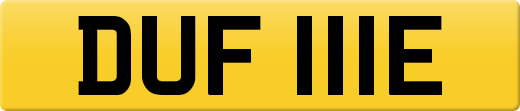 DUF111E