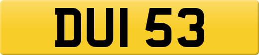 DUI53