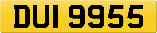 DUI9955