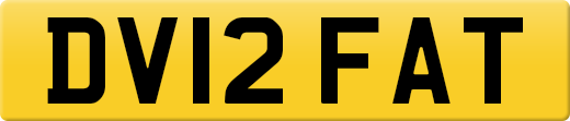DV12FAT