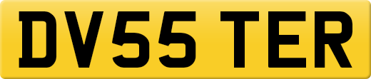 DV55TER