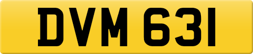 DVM631