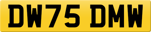 DW75DMW