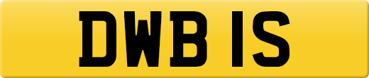 DWB1S