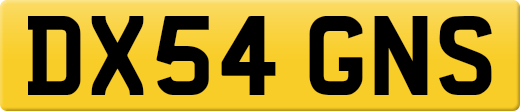 DX54GNS