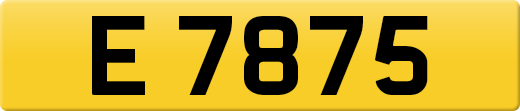 E7875