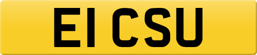 E1CSU
