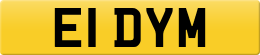E1DYM