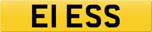 E1ESS