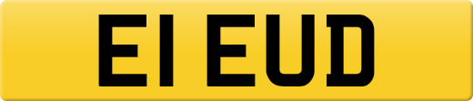 E1EUD