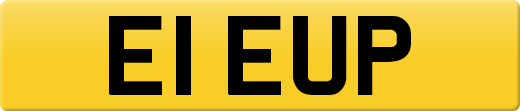 E1EUP