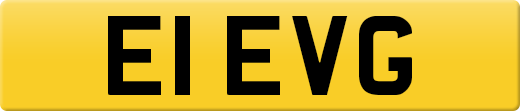 E1EVG