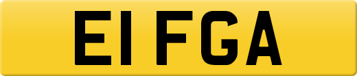 E1FGA