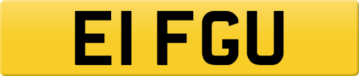 E1FGU