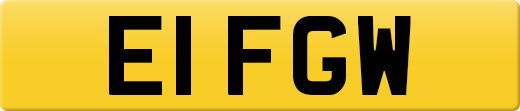 E1FGW