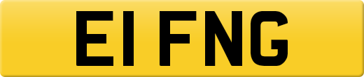 E1FNG