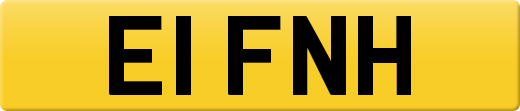 E1FNH