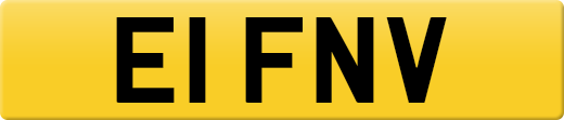 E1FNV