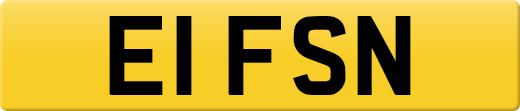 E1FSN
