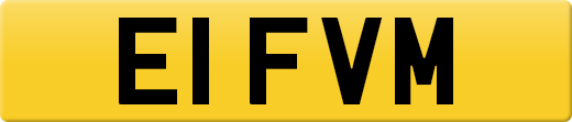 E1FVM