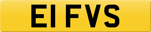 E1FVS