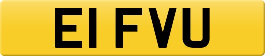 E1FVU