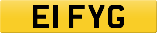 E1FYG