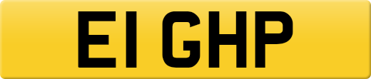 E1GHP